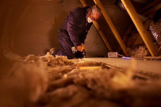 Types of Insulation We Offer in Parlier, CA